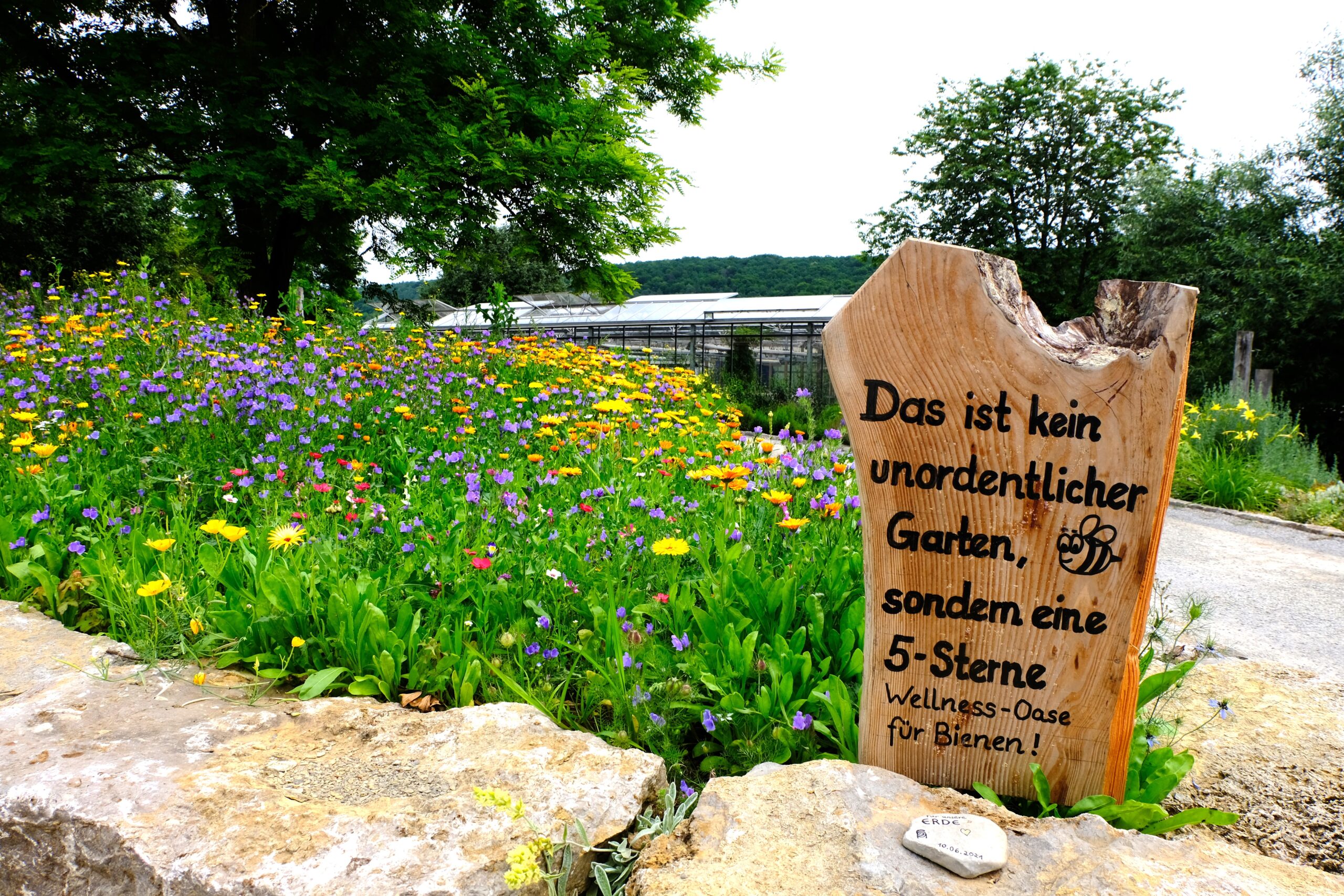 Schild Wellnes-Oase für Bienen in unserem Schaugarten im Juli