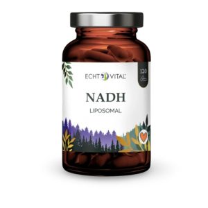 NADH liposomal, Echt Vital